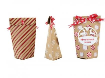 Paper Waterproof Foldable Biscuit Packaging Bag