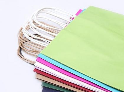 Biodegradable Printed Colored Kraft Twisted Handle Bag
